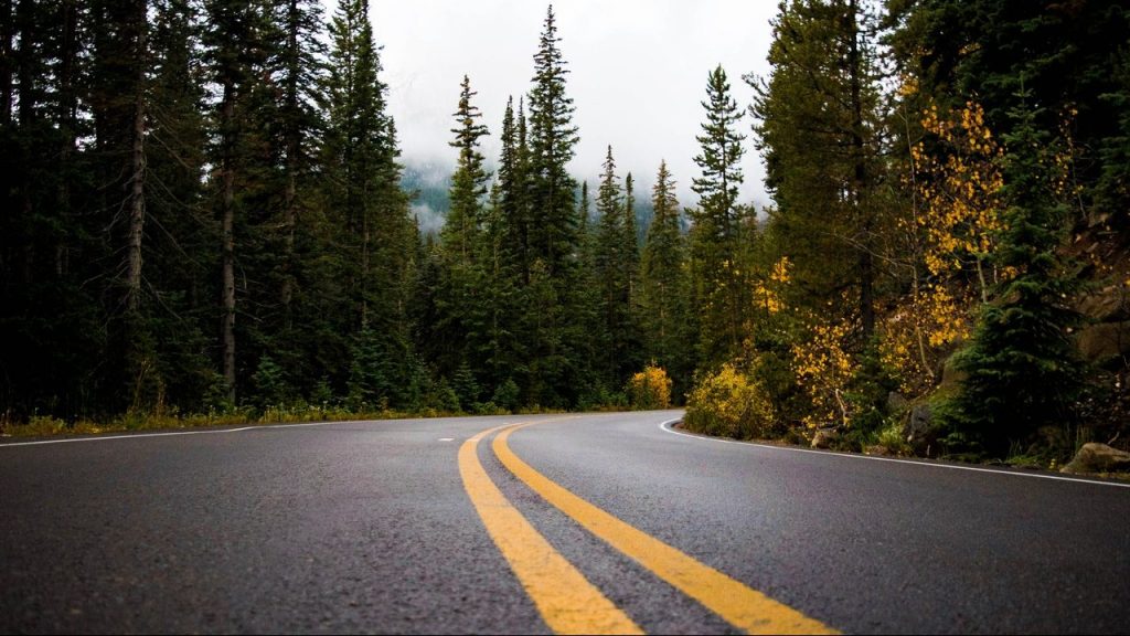 Vancouver Island First Nations gain control of three Clayoquot Sound forestry areas
