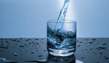 New drinking water management plan in the works for Metro Vancouver