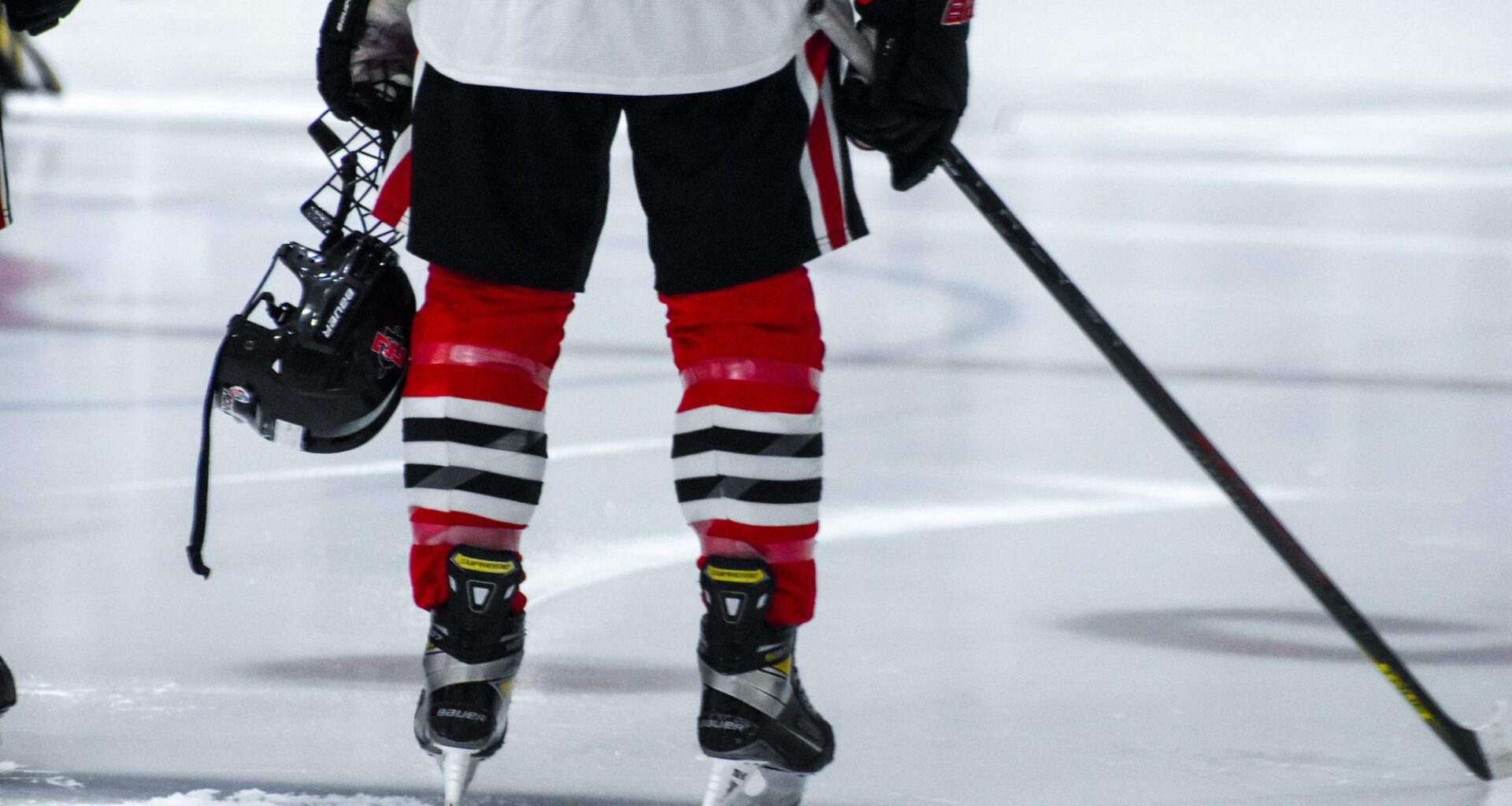 Ottawa Senators vs. Minnesota Wild
