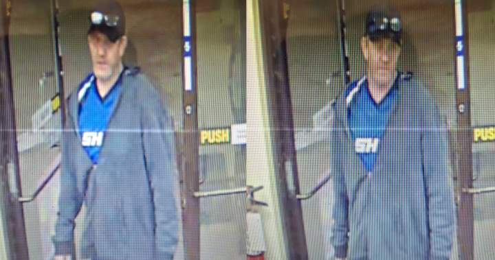 Calgary police seek public’s help in identifying Bridlewood arson suspect