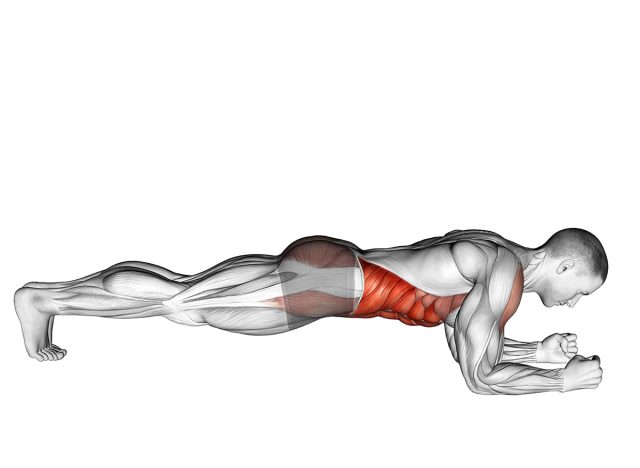 Front Plank. Waist exercise. Male figure