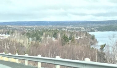 Port Blandford Residents Vow to Keep up the Fight Against Clearcutting