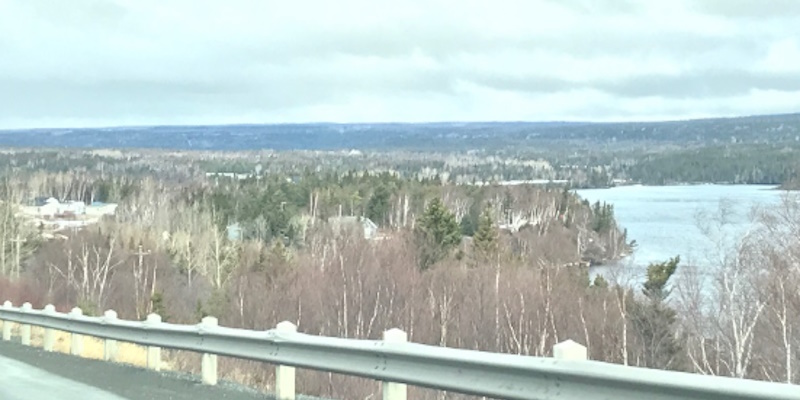 Port Blandford Residents Vow to Keep up the Fight Against Clearcutting