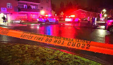 Man critically injured in Etobicoke shooting