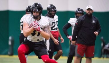 Defensive lineman Romick retires after 11 seasons with Ottawa Redblacks