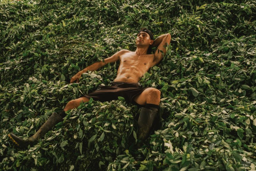 Santiago Mesa won the Documentary Projects category with his work on coca farmers, whose crops are used to make cocaine, in southern Colombia.