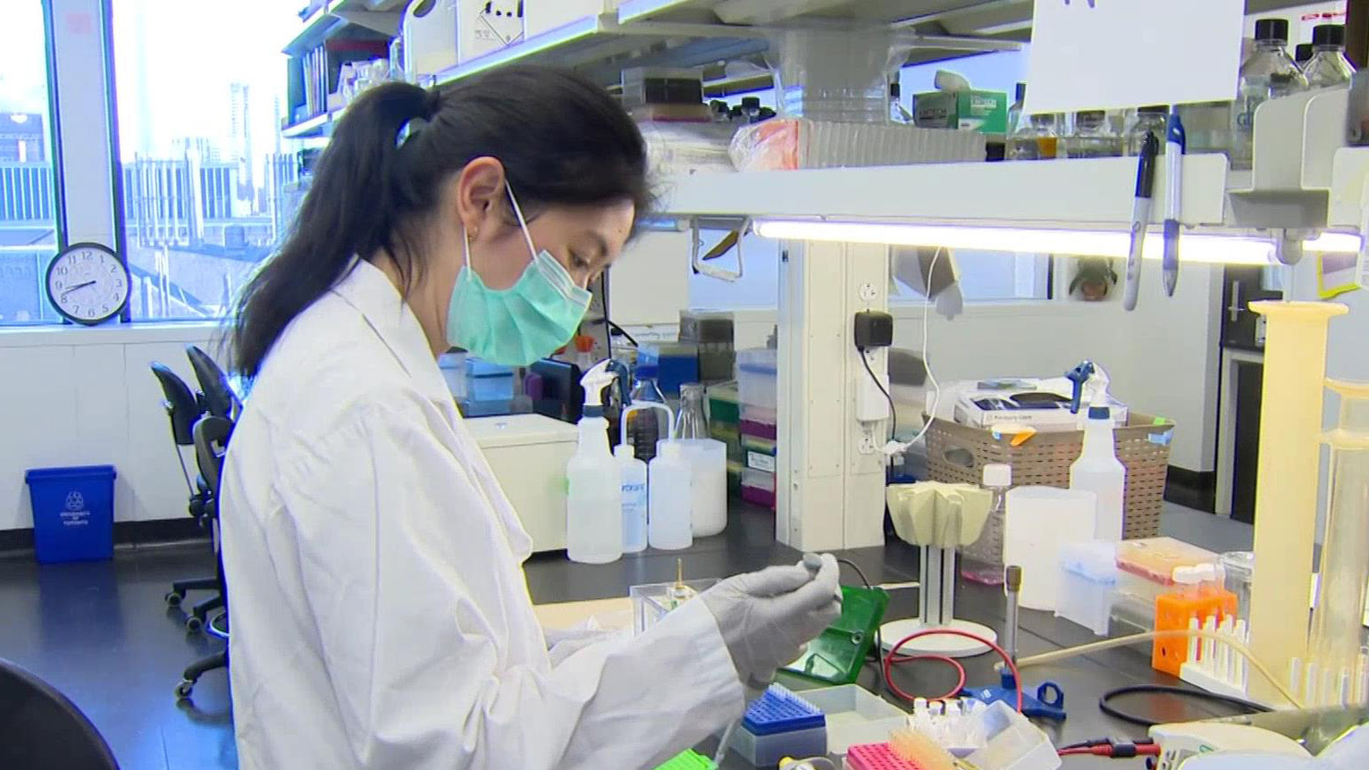 Life sciences a vital lifeline in Brampton's economic future 