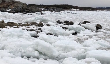 More Sea Ice Moving Southward, but Late Developing Ice Thinner Than Usual