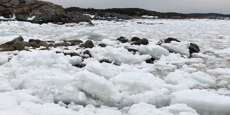 More Sea Ice Moving Southward, but Late Developing Ice Thinner Than Usual