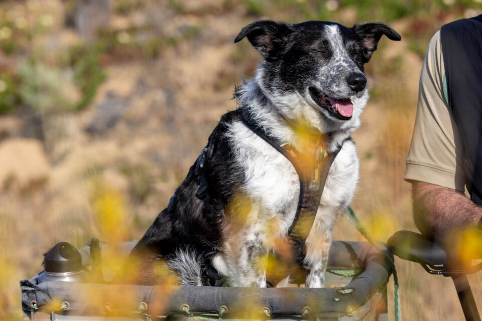 John and mira Xtracycle omnitierra