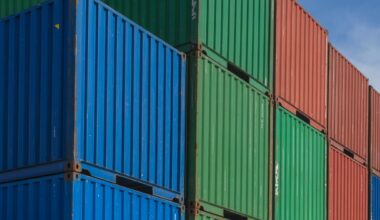 Imported Raccoon Captured, To Be Euthanised