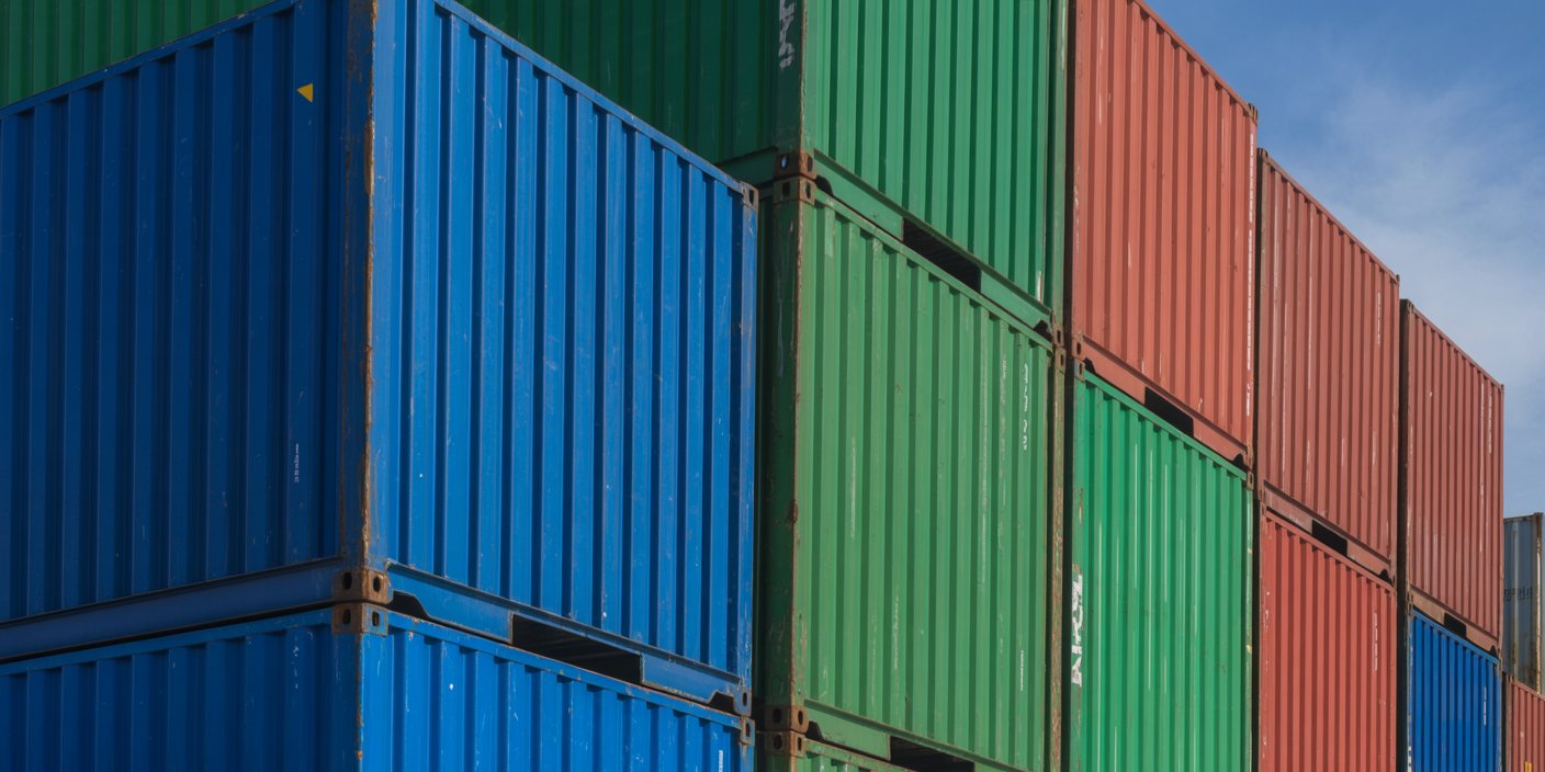 Imported Raccoon Captured, To Be Euthanised