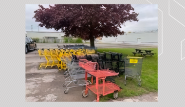 Brampton rejects geo-locking system for abandoned carts, sticks with $100 fine