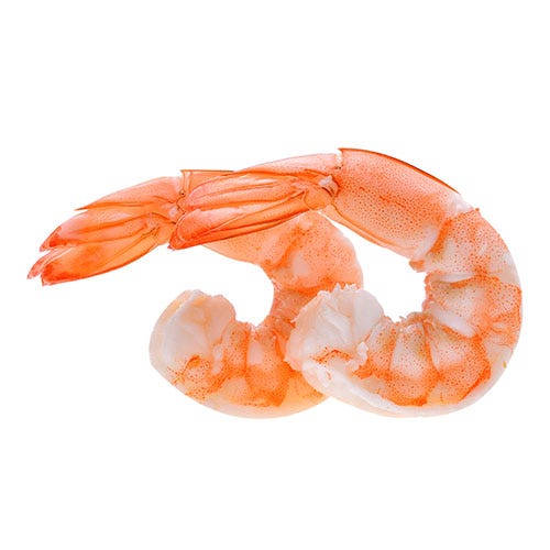 shrimp shrimp