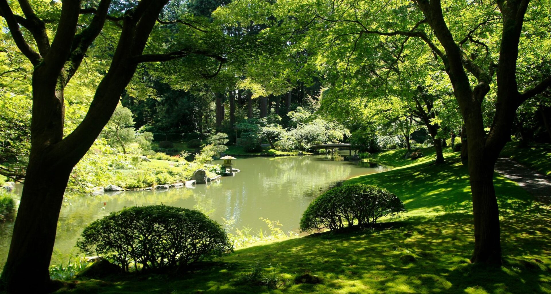 All the botanical gardens you can check out in Metro Vancouver