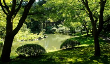 All the botanical gardens you can check out in Metro Vancouver