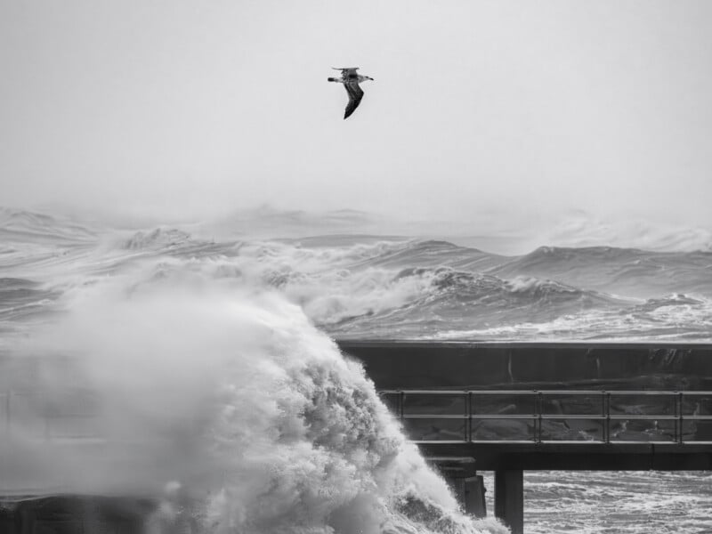 A black-and-white photo of a seagull flying above crashing ocean waves, with a pier partially visible in the lower right corner and mist rising from the powerful surf.