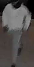 Suspect in Attempted Murder Investigation