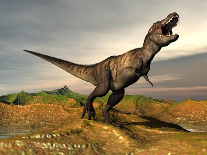 Brighter Side of News