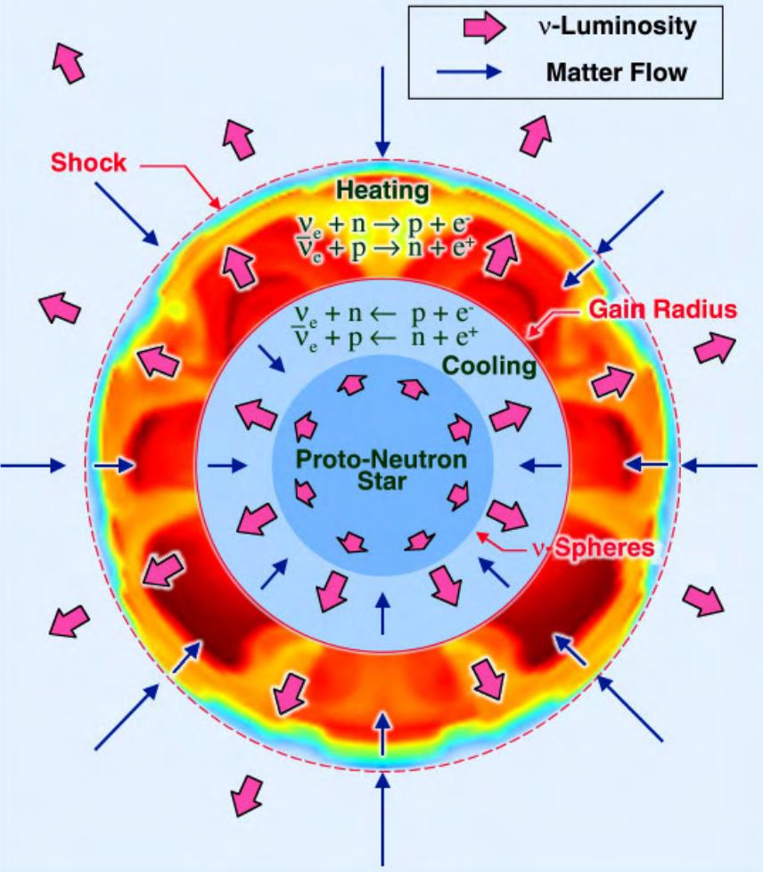 diagram of core-collapse supernova anatomy