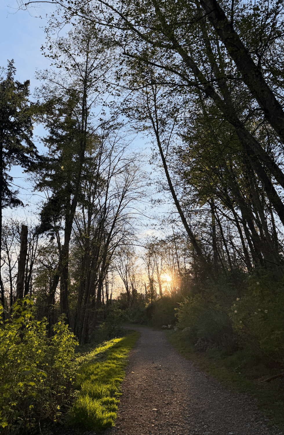 Trail in North Van.