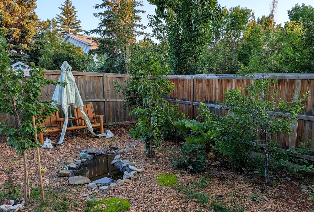 A City of Calgary program will help the city to branch out