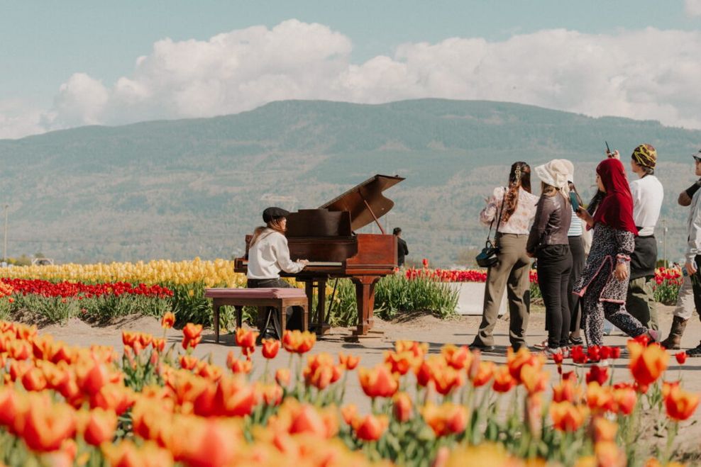 tulips