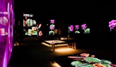 The Sonoran Desert teems with wildlife. These 3D scans could help protect its future : NPR