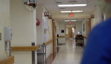 Herbal drug kava could pose serious health threats, report finds