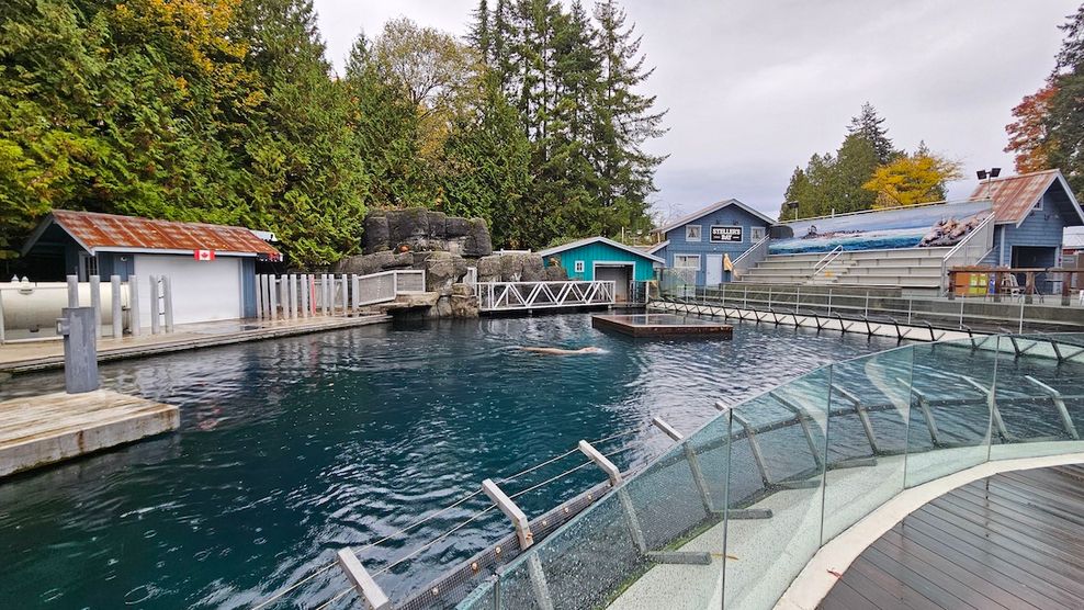 vancouver aquarium