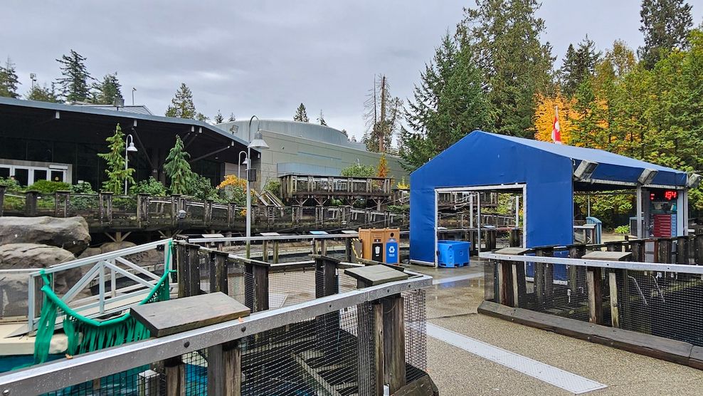 vancouver aquarium