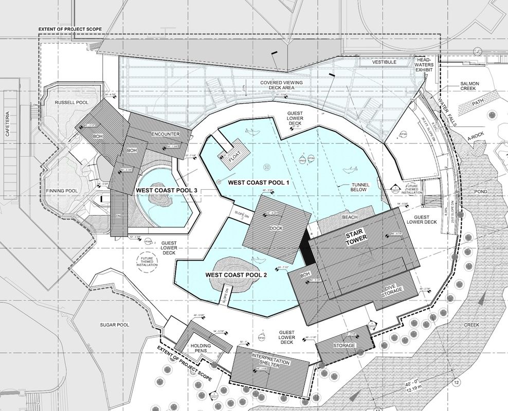 vancouver aquarium bc wild coast renovation