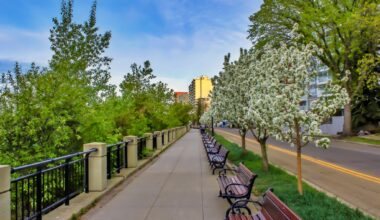 Where are the best spots in Edmonton to see blooming flowers?