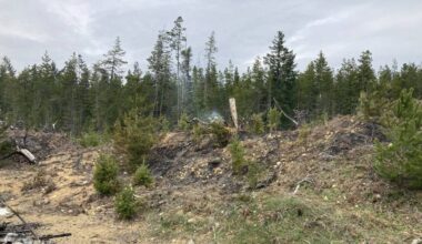 Island sees first wildfire of season as temperatures soar
