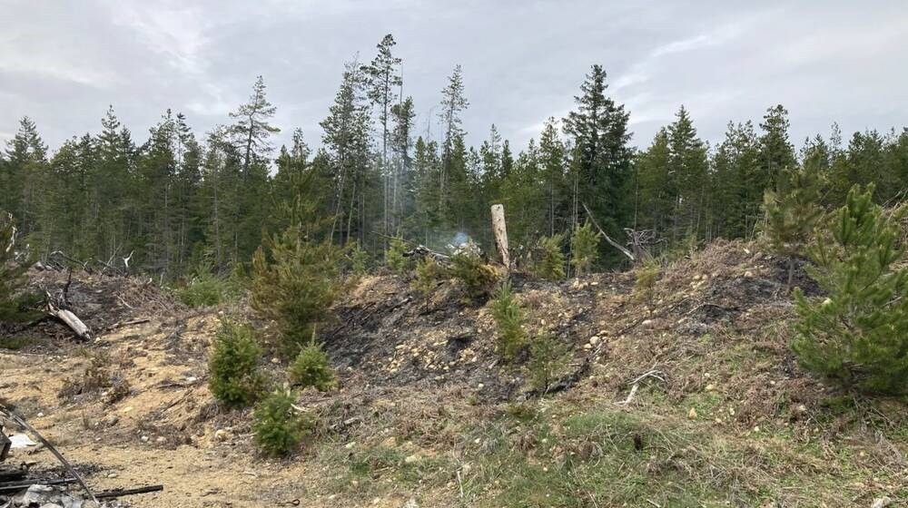 Island sees first wildfire of season as temperatures soar