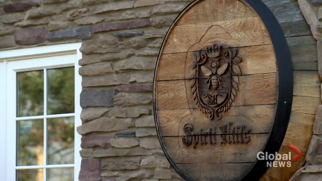 Click to play video: 'Tourism expanding in Alberta’s foothills'