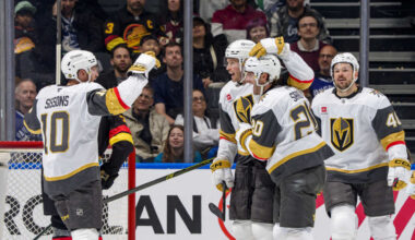 McNabb roofs equalizer | NHL.com