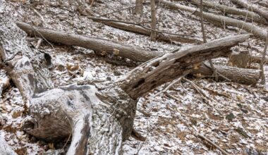 Montreal weather: Our patience for snow is a finite resource