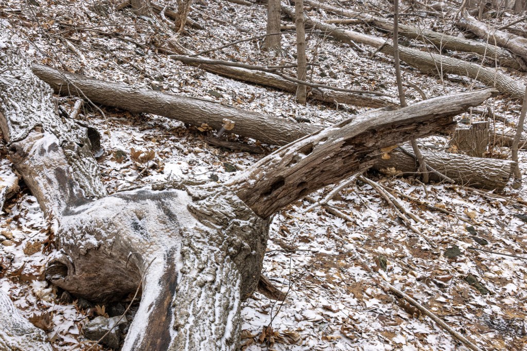 Montreal weather: Our patience for snow is a finite resource