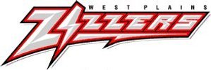 Zizzer Summer Tennis and Baseball Camps
