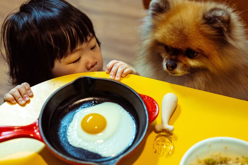 A young child and a fluffy brown dog both look intently at a sunny-side-up egg cooking in a black skillet placed on a bright yellow table.