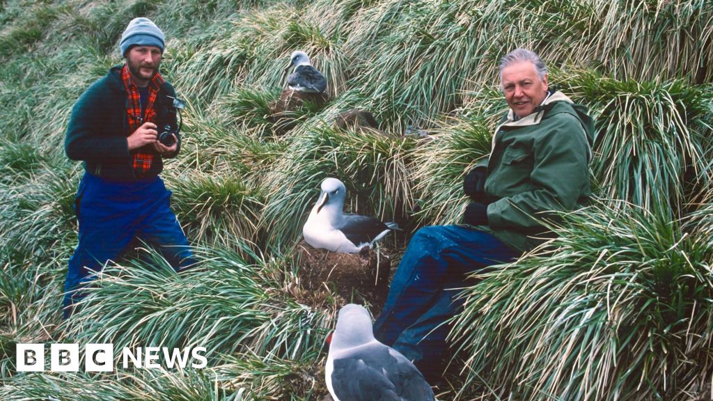 Shropshire photographer shares memories of Sir David Attenborough - BBC