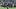 Jadarian Price, RB, Seattle Seahawks Jadarian Price, RB, Seattle Seahawks