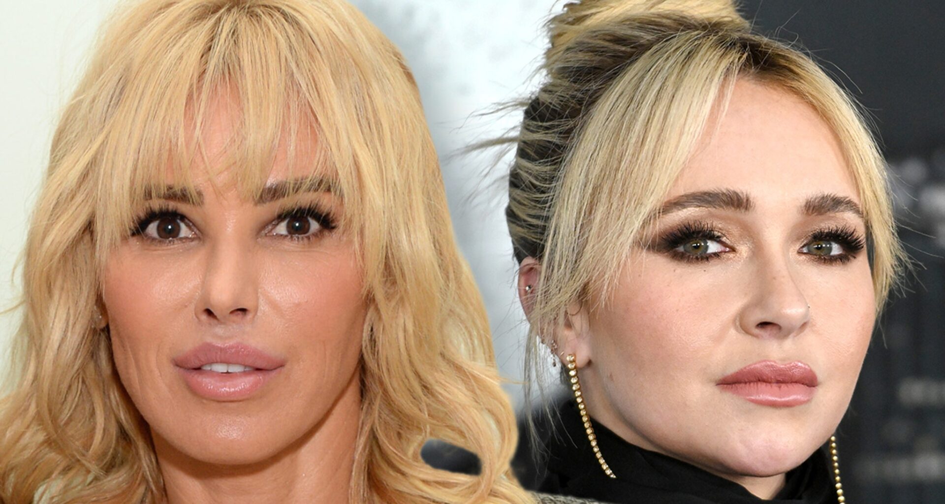 'RHOBH' Diana Jenkins Denies She's Woman Who Put Hayden Panettiere In Bed With Nude Star