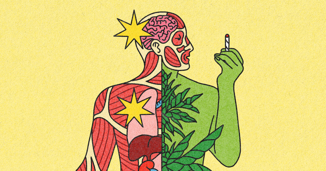 What Doctors Want You to Know About Cannabis and Health