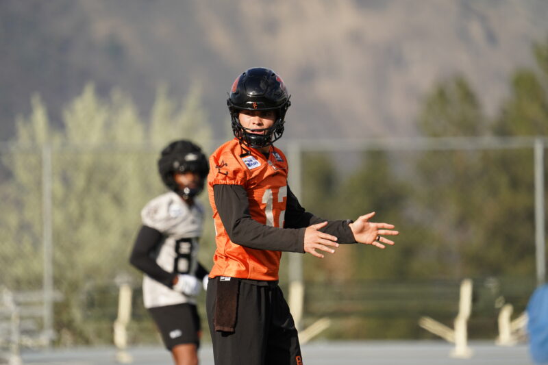As he pursues both Grey Cup and 2028 Olympic dreams, Nathan Rourke is ascending to new heights as the BC Lions' franchise player.