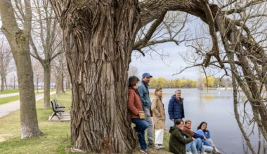 Lachine residents fight to save open-water swimming project