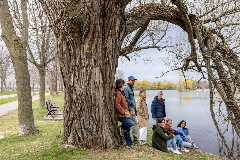 Lachine residents fight to save open-water swimming project