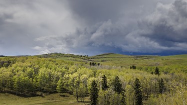 Stormy sky and new green southwest of Calgary, Ab., on Wednesday, May 20, 2026.