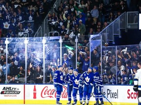 Toronto Marlies players and fans celebrate a goal